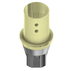 ELLIPTIBase® compatible with Straumann® Bone Level