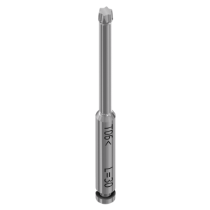 Schraubendreher Torx 06