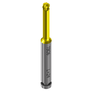 Punta Torx Ball
