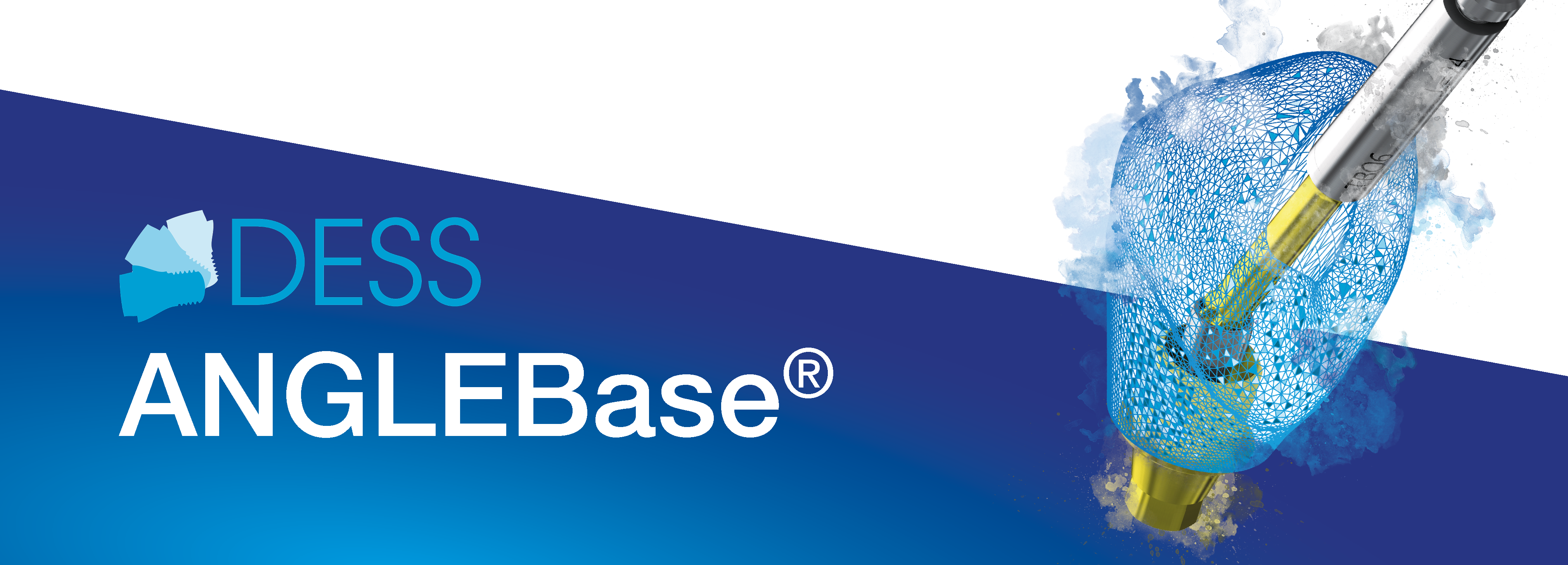 DESS Produktpräsentation: ANGLEBase®