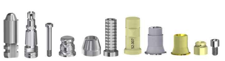 Transepithelial components for Brånemark WP